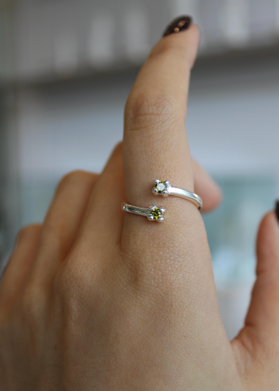 Anillo Doble