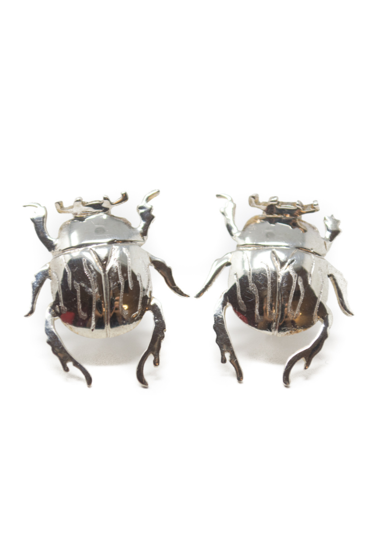 Aretes Escarabajo