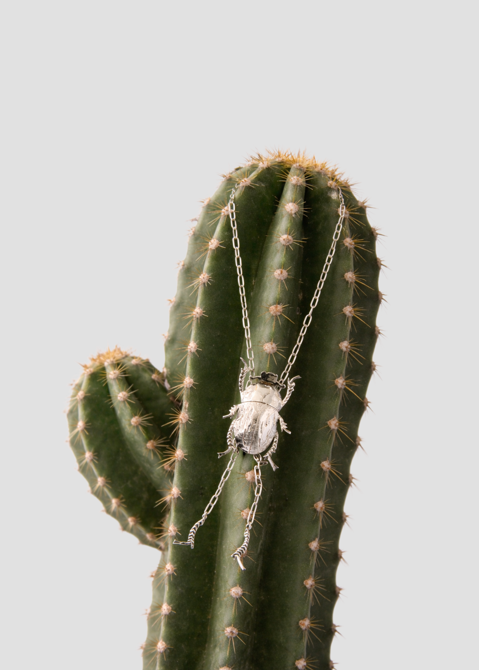 Handcrafted, ethically sourced and longlasting pieces to acompany you wherever you go. 