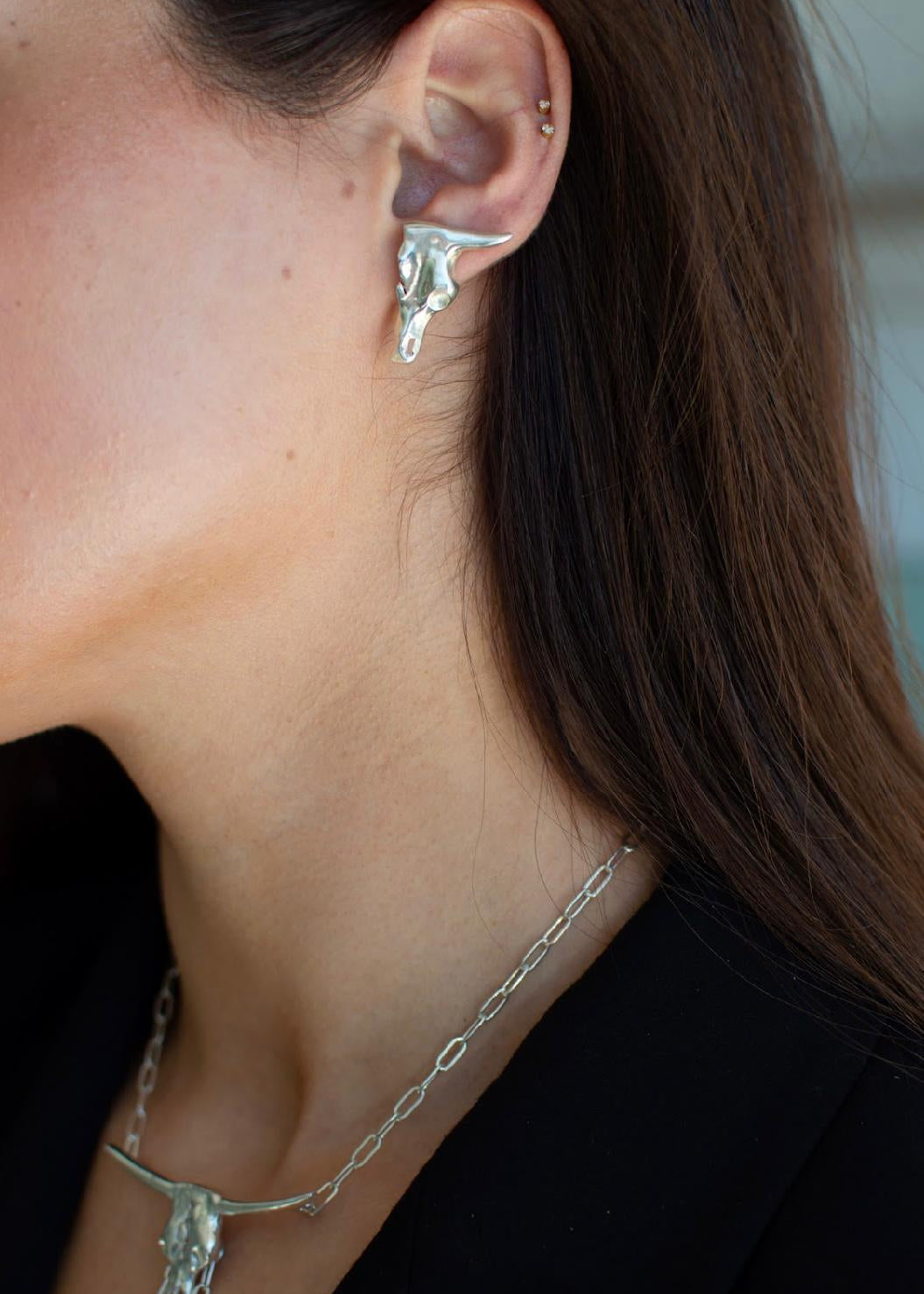Aretes Medio Toro