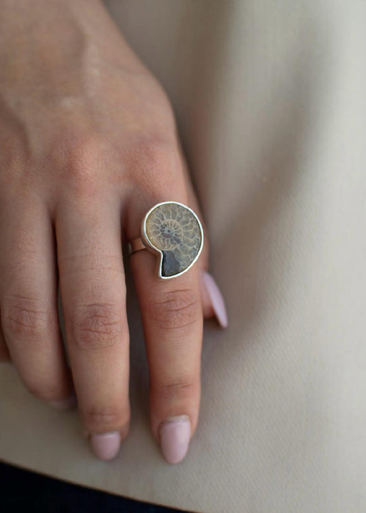 Anillo Amonita