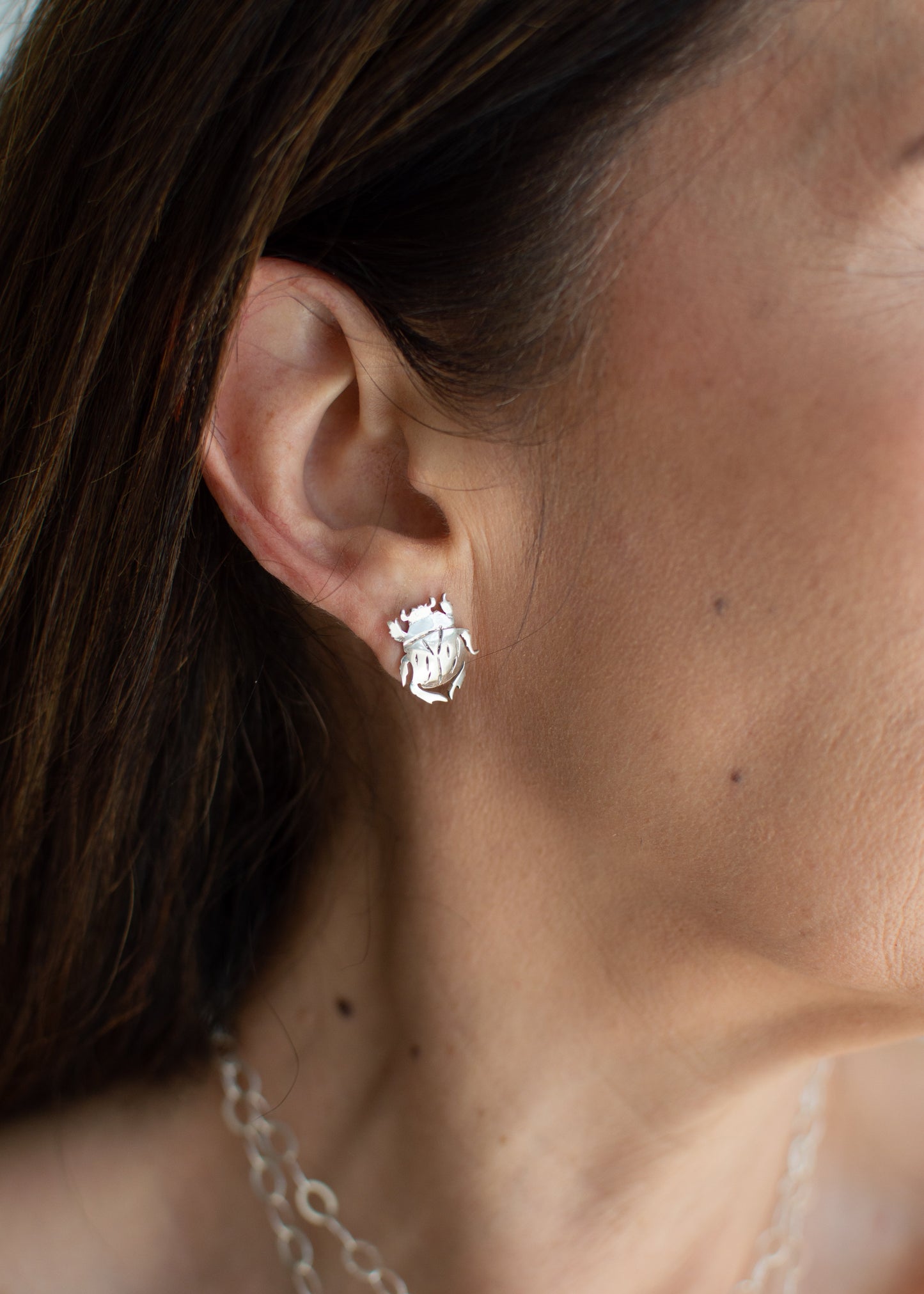 Aretes Escarabajo