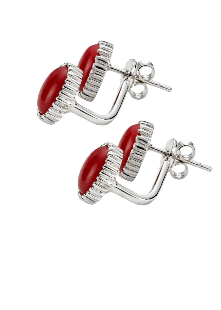 Aretes Casa Blanca