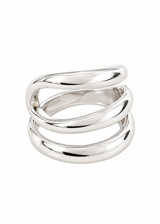 Anillo Niza