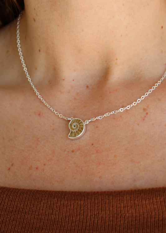 Collar Amonita