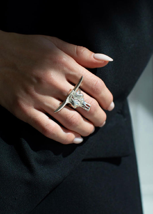 Anillo Toro