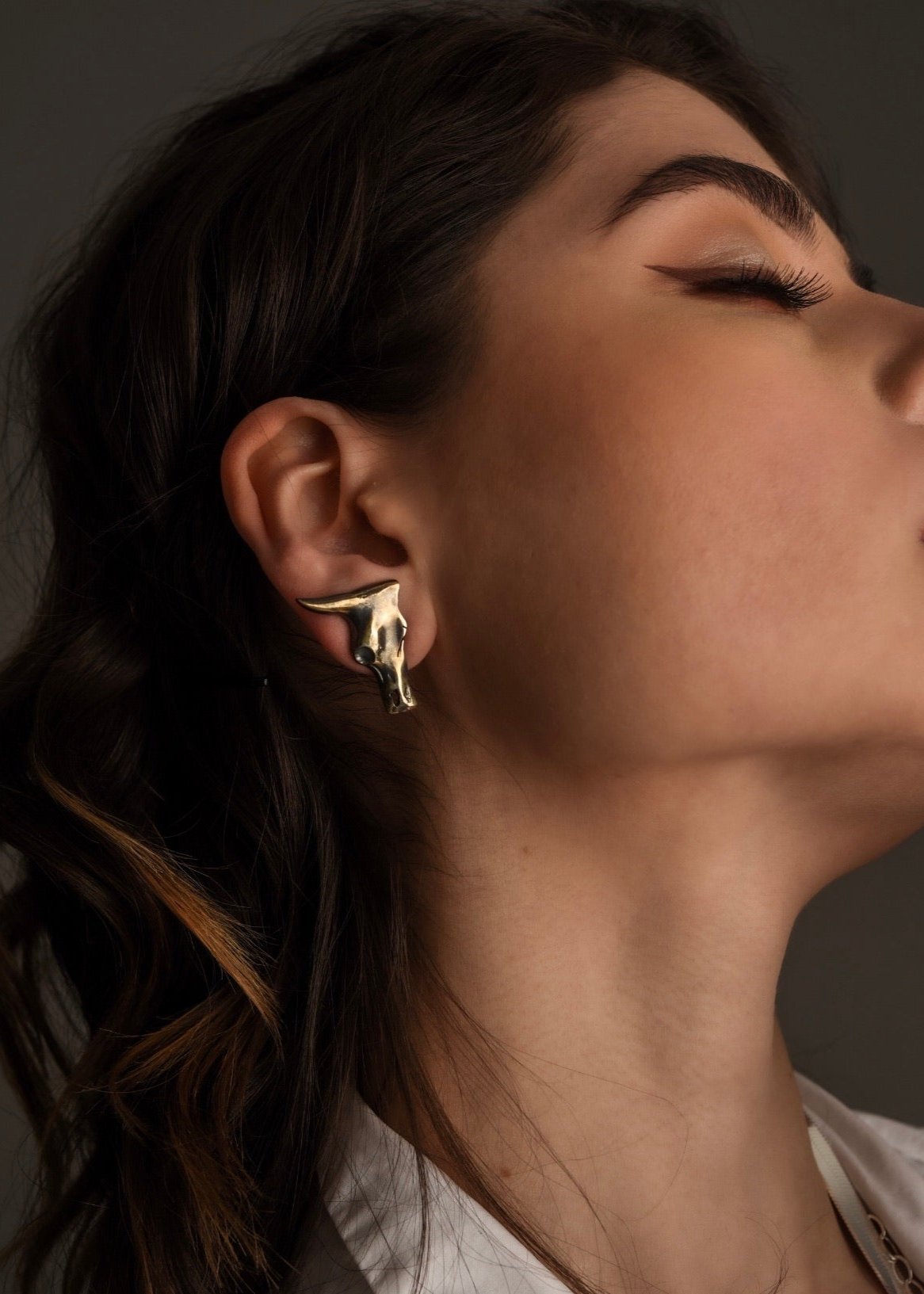 Aretes Medio Toro
