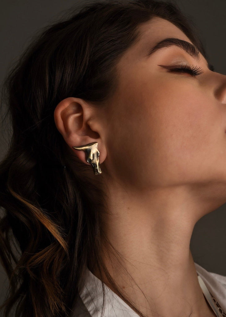 Aretes Toro