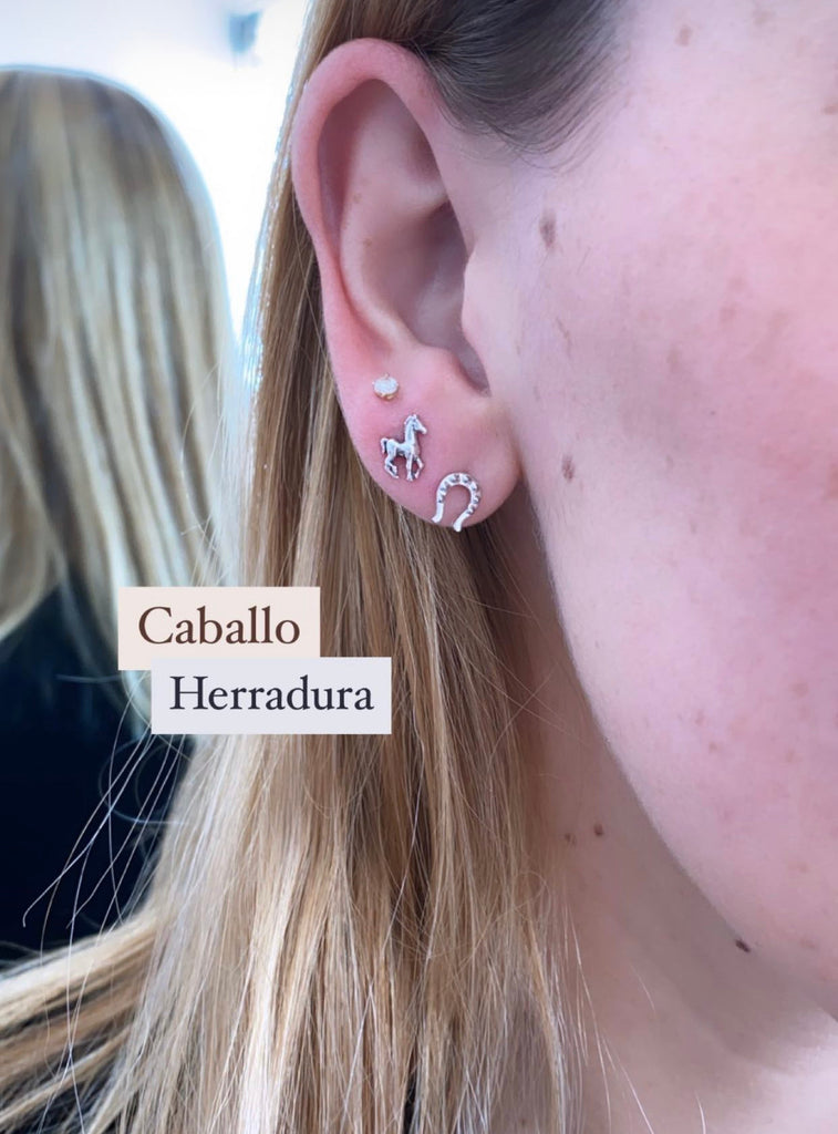 Aretes Caballo